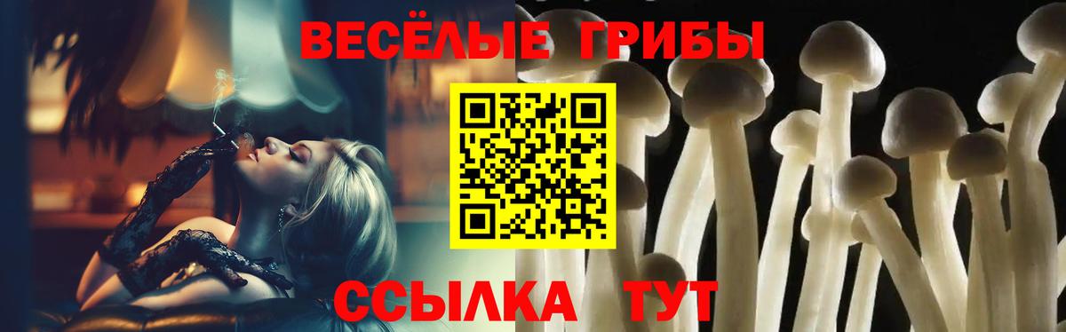Псков  Галлюциногенные грибы Psilocybe  Вход с VPN 